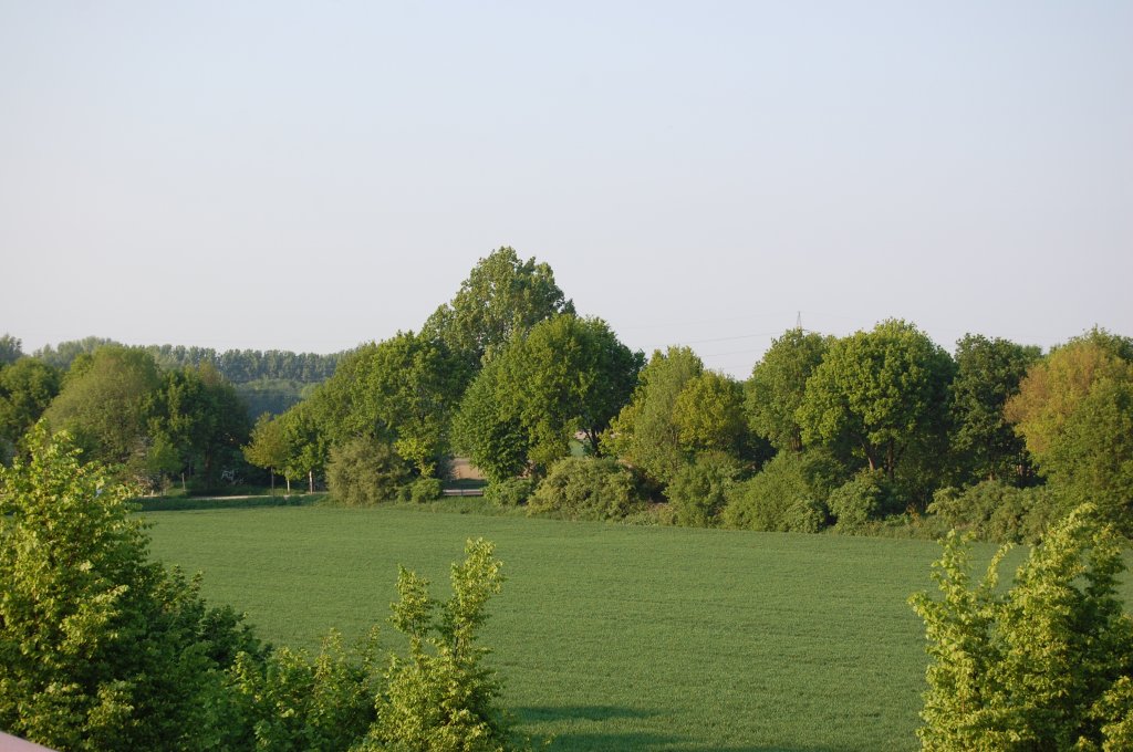 Grnzug an der Niers zwischen Lrrip und Korschenbroich. Foto vom 20.5.2010