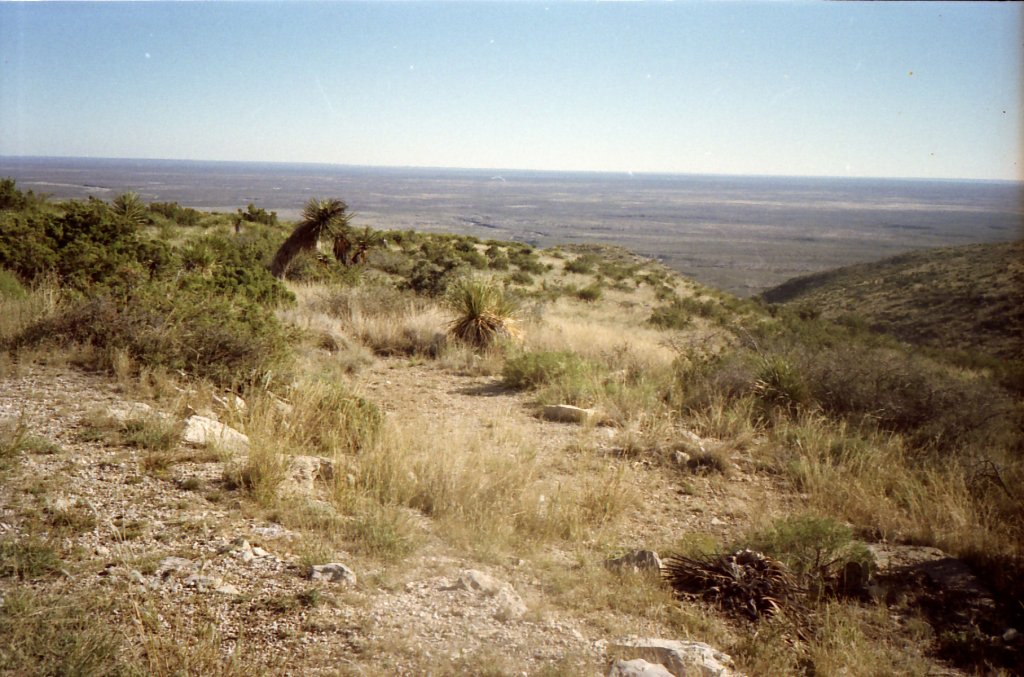 Guadalupe Mountains National Park, Heidelandschaft (November 1990)