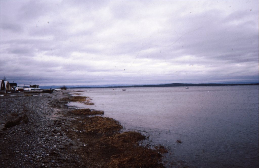 Happy Valley-Goose Bay, Blick auf den Lake Melville (aufgenommen am 31.10.1990)