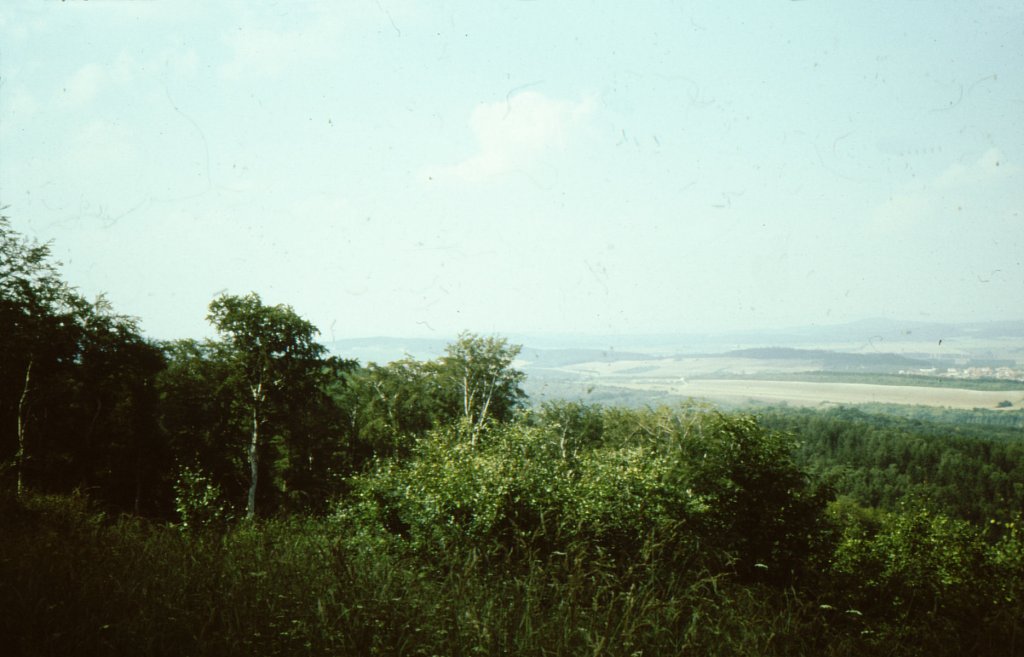 Harz, Blick ins Bodetal (August 1989)