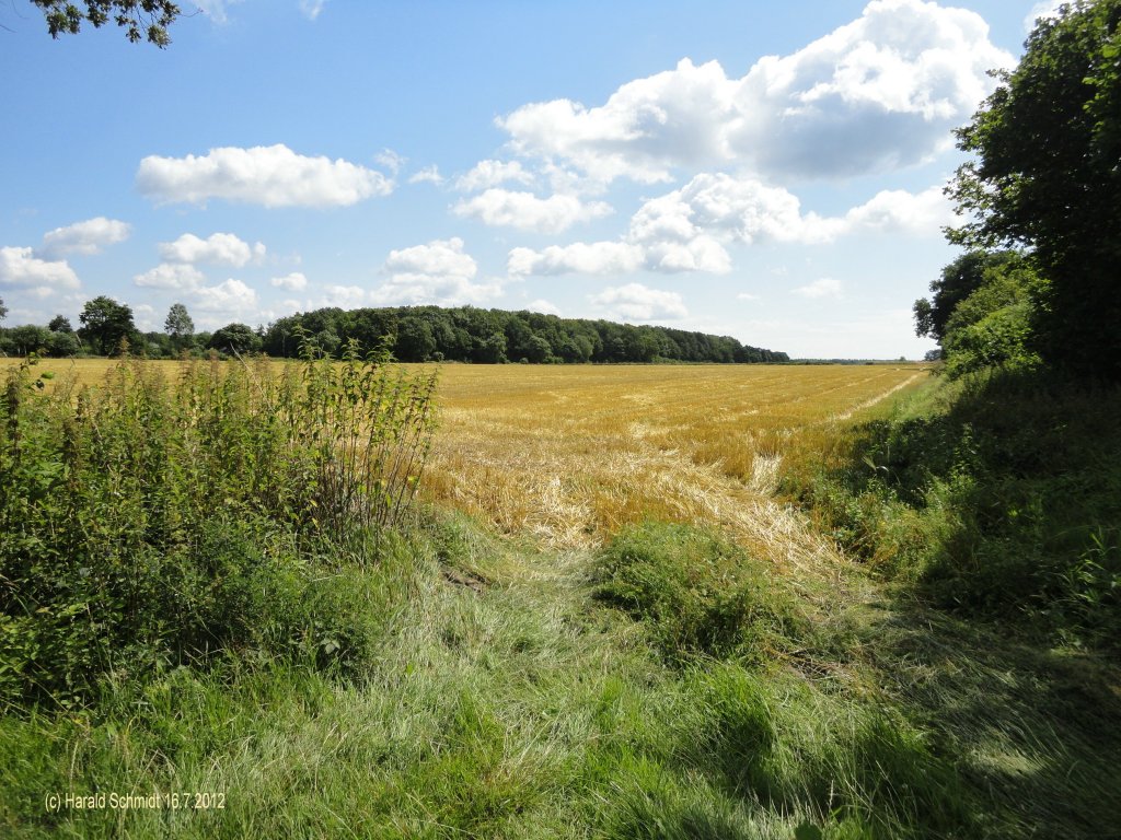 Havighorst bei Hamburg am 16.7.2012: Sommerwolken ber einer Zufahrt zu einem abgeerntetem Feld in der Feldmark