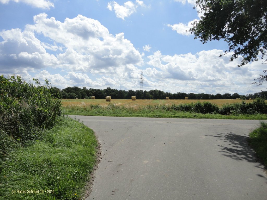 Havighorst bei Hamburg am 16.7.2012: Sommerwolken ber einem abgeerntetem Feld in der Feldmark