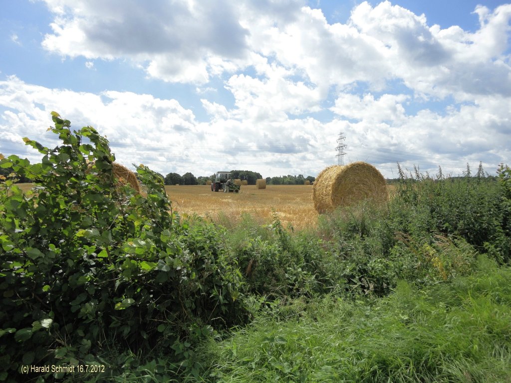 Havighorst bei Hamburg am 16.7.2012: Sommerwolken bei der Ernte in der Feldmark