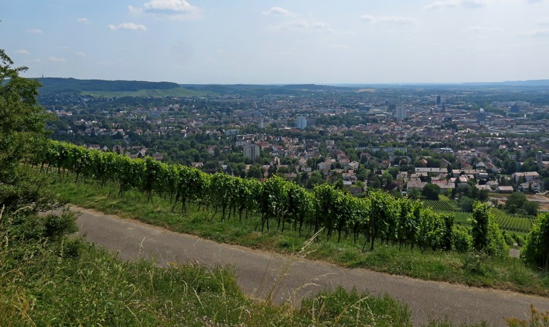 Heilbronn,der Blick vom Wartberg am 13.07.2013