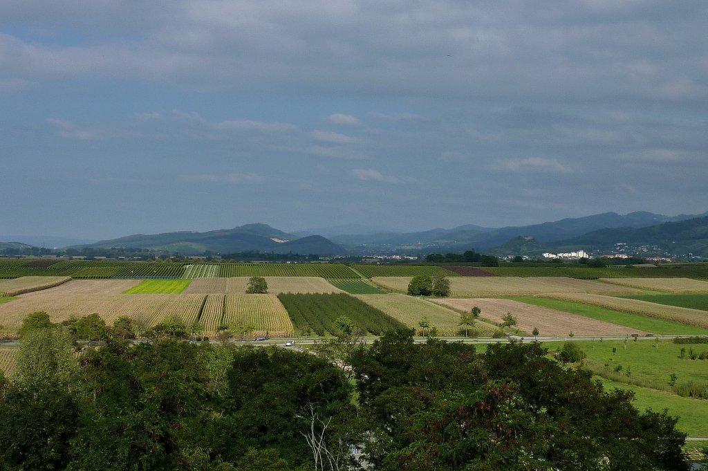 Heitersheim, Blick vom Aussichtsturm in die Rheinebene und zu den Schwarzwaldbergen, Sept.2011