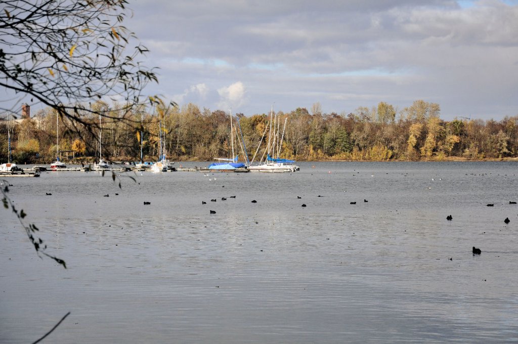 Herbst am Zlpicher See, Segelboote schon im  Winterschlaf  - Zlpich 06.11.2009