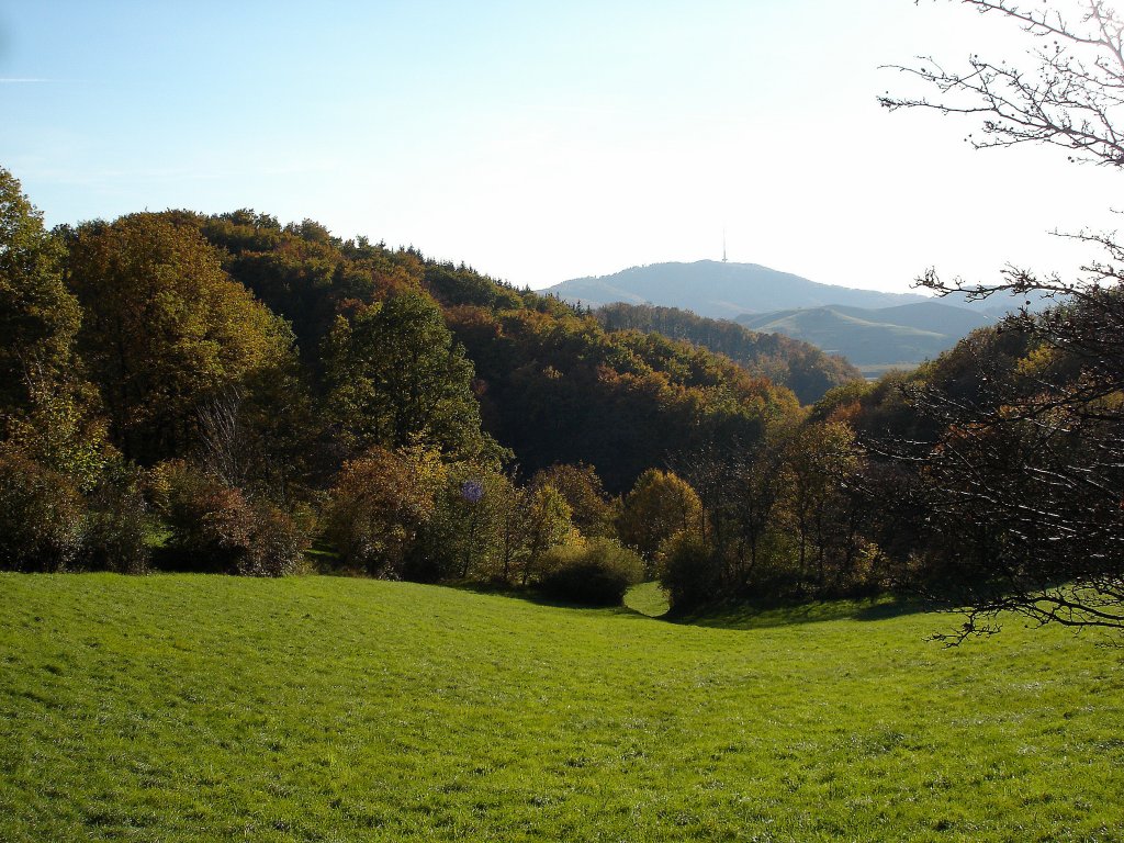 Herbst im Kaiserstuhl, Blick von der Schelinger Hhe zum Totenkopf mit Fernsehturm, den hchsten Berg im Kaiserstuhl mit 557m, Okt.2010
