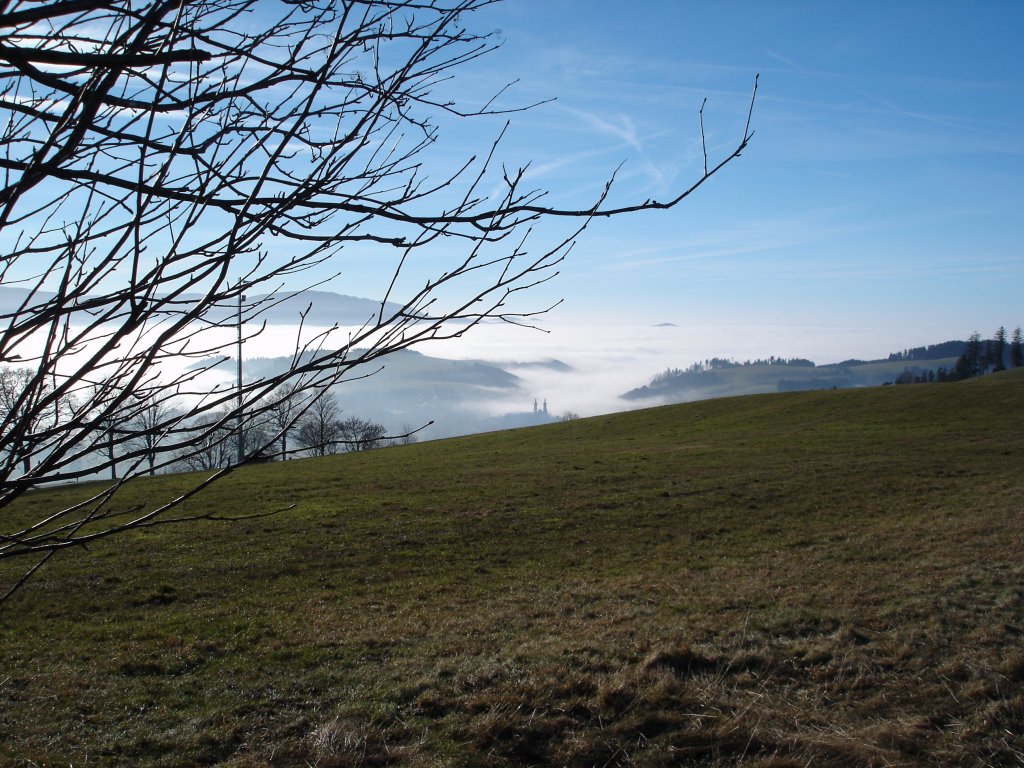 Herbst im Schwarzwald, aus dem Nebel schauen die Trme der Klosterkirche von St.Peter heraus, Nov.2004