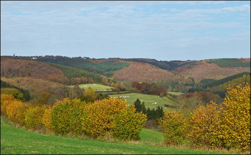 Herbst im Tal der Clerve. Drauffelt, 22.10.2012 (Jeanny)