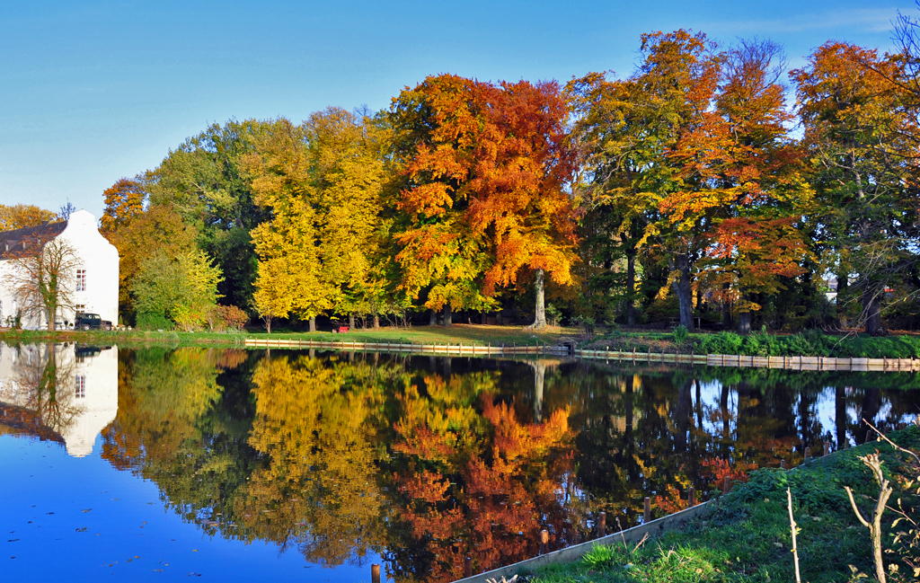 Herbstbume spiegeln sich im See der Burg Flamersheim - 31.10.2010
