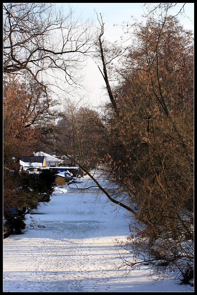 Herbstfarben im Winter am Tegeler Flies (Berlin Alt-Tegel)