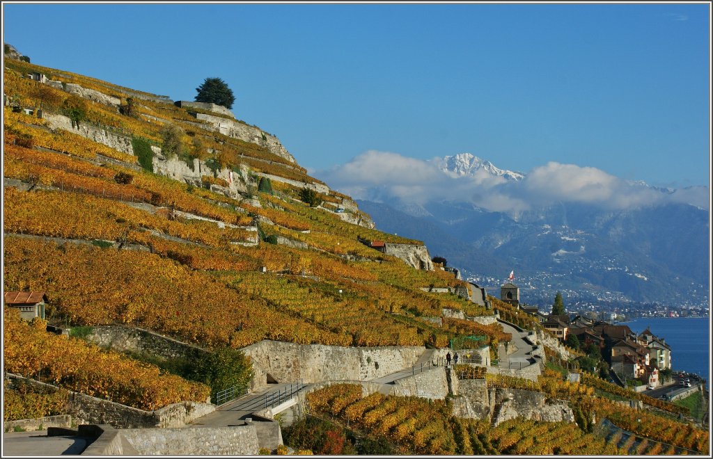 Herbstlich gestimmetes Lavaux mit Blick auf den verschneiten Rochers-de-Naye.
(29.10.2012)