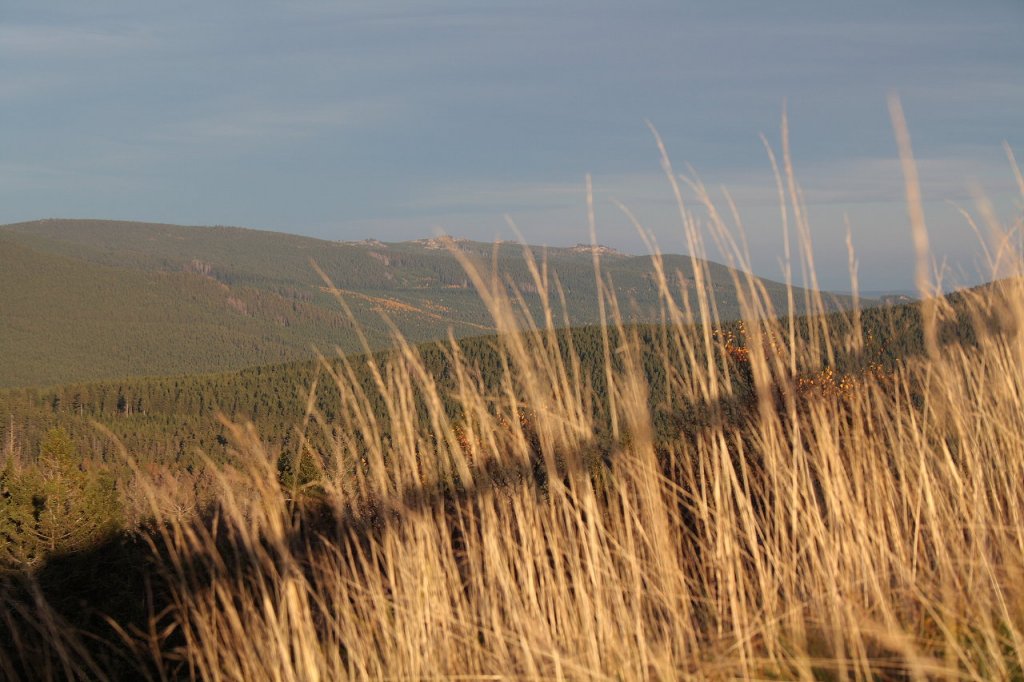 Herbstliche Abendstimmung auf der Achtermannshhe; die Hohneklippen und Grser, auf die der Schatten des Schutzgelnders fllt, im Licht der tiefstehenden Abendsonne. Blick am 18.10.2012 von der Felskanzel der Achtermannshhe Richtung Nordosten.