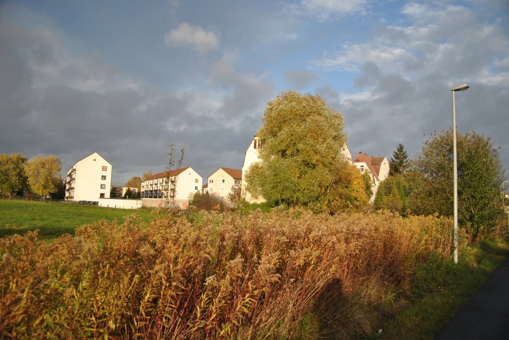 Herbstlicher Baum und Bsche in Oktober ´10.