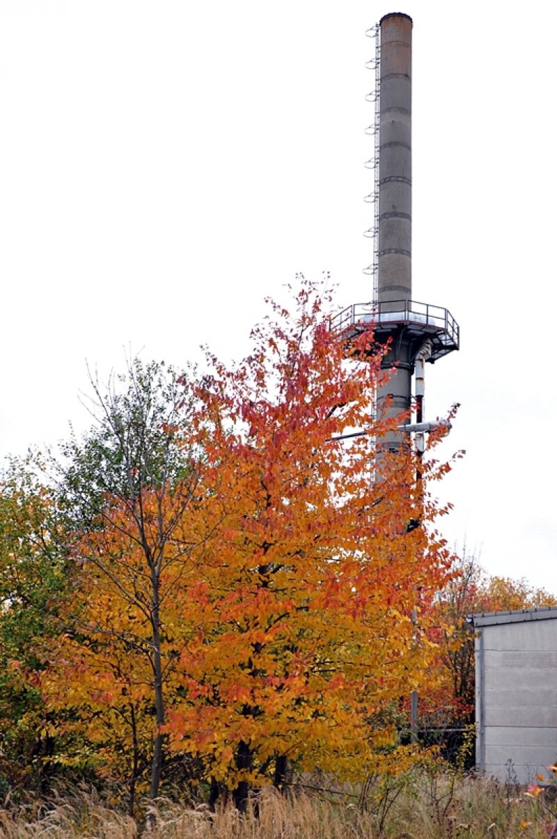 herbstlicher Einklang am Rande einer alten verlassenen Industrieanlage
ein bichen Farbe zum eher tristen Grau