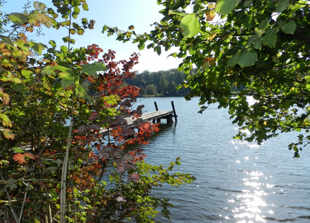 Herbststimmung am Husemersee bei Ossingen vom 11.10.2011