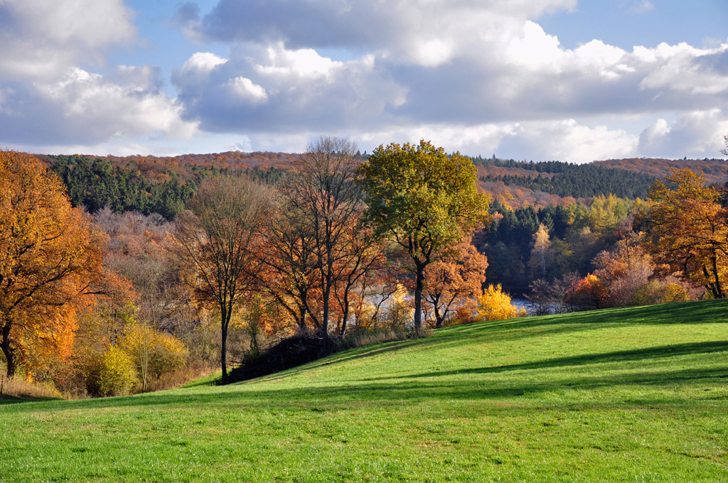 Herbststimmung an der Steinbachtalsperre - 12.11.2012