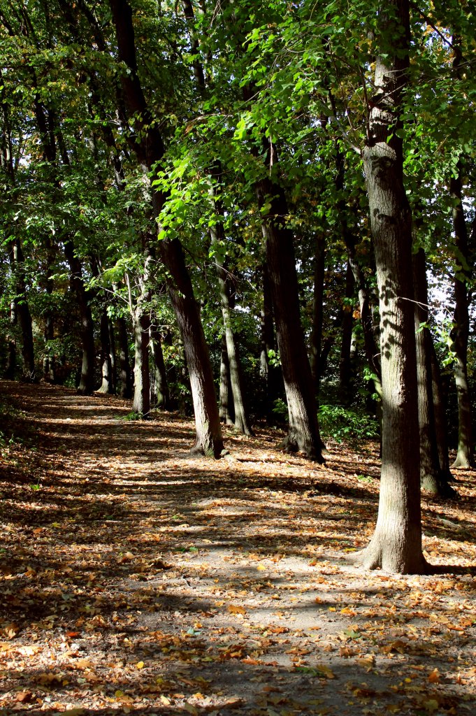 Herbststimmung im Gehege in Zeulenroda. Foto 06.10.2011