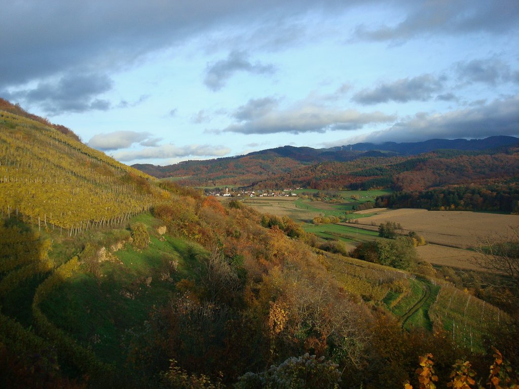 Herbststimmung im Hexental, sdlich von Freiburg, Nov.2010