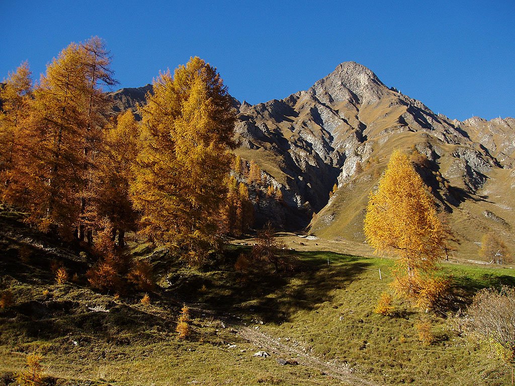 Herbststimmung in Samnaun/GR. Blick Richtung Nordwesten, 14. Okt. 2007, 15:30