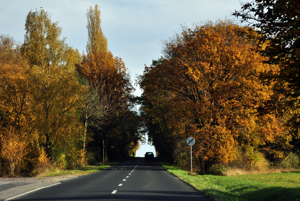 Herbststrasse nach Satzvey/Eifel - 09.11.2012