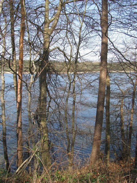 Herzogtum lauenburg [SH]; Landschaft am Schaalsee bei Marienstedt, 25.04.2010