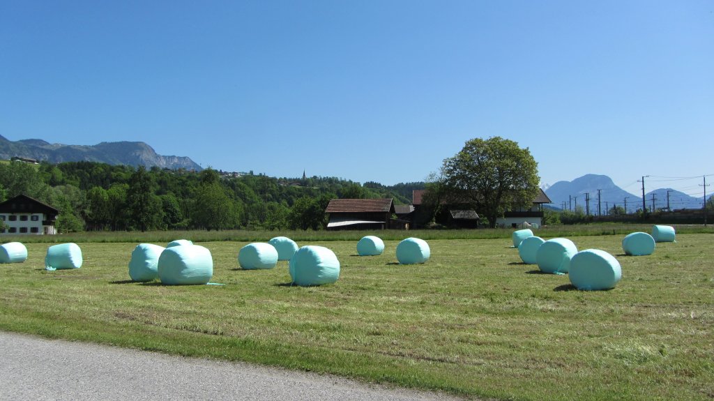 Heuballen trocknen am Feld bei Kundl.(19.5.2012)