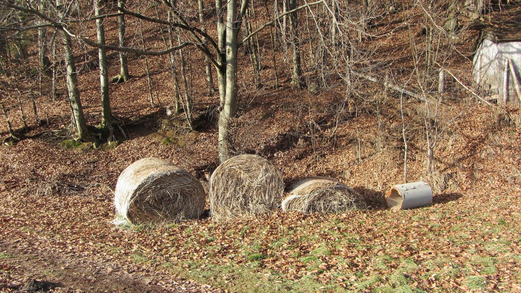 Heuballen warten auf Verwendung in Kramsach.(2.1.2013)