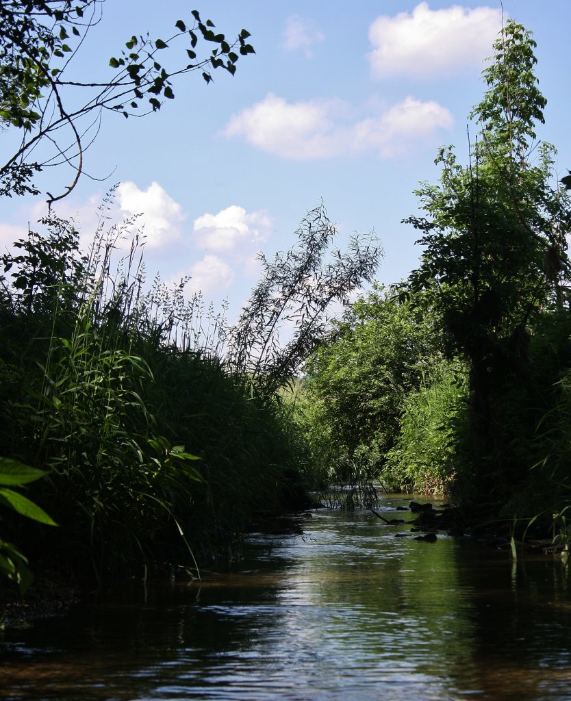 Hier ein Fluss im niergendwo am 05.06.2011 . (Pfettrach)