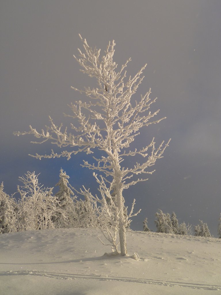 Hier ein paar Eindrcke vom Fichtelberg, am 12.01.13 bei -12 Grad.