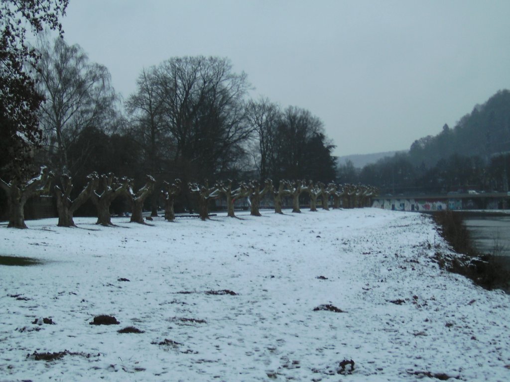 Hier ist nochmal die Liegewiese Am Stadten in Saarbrcken zu sehen. Auch dieses Foto habe ich in Saarbrcken am 26.01.2010 gemacht.