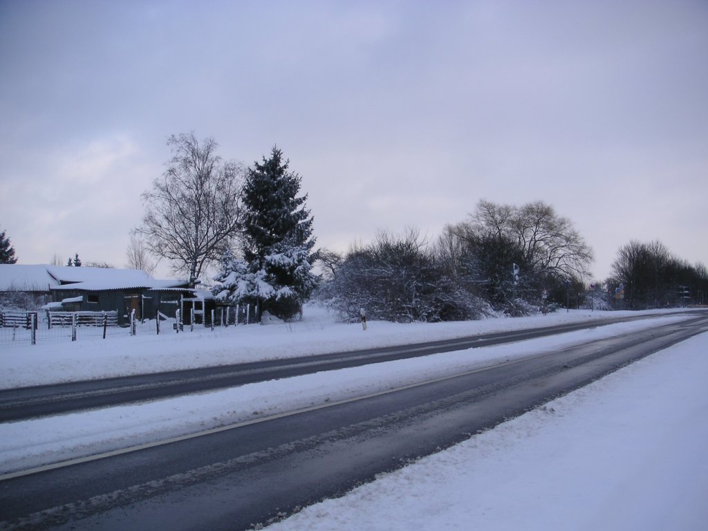 Hier ist nochmal die verschneite Flughafenstrae in Saarbrcken-Ensheim zu sehen. Auch dieses Foto habe ich am 01.02.2010 gemacht.