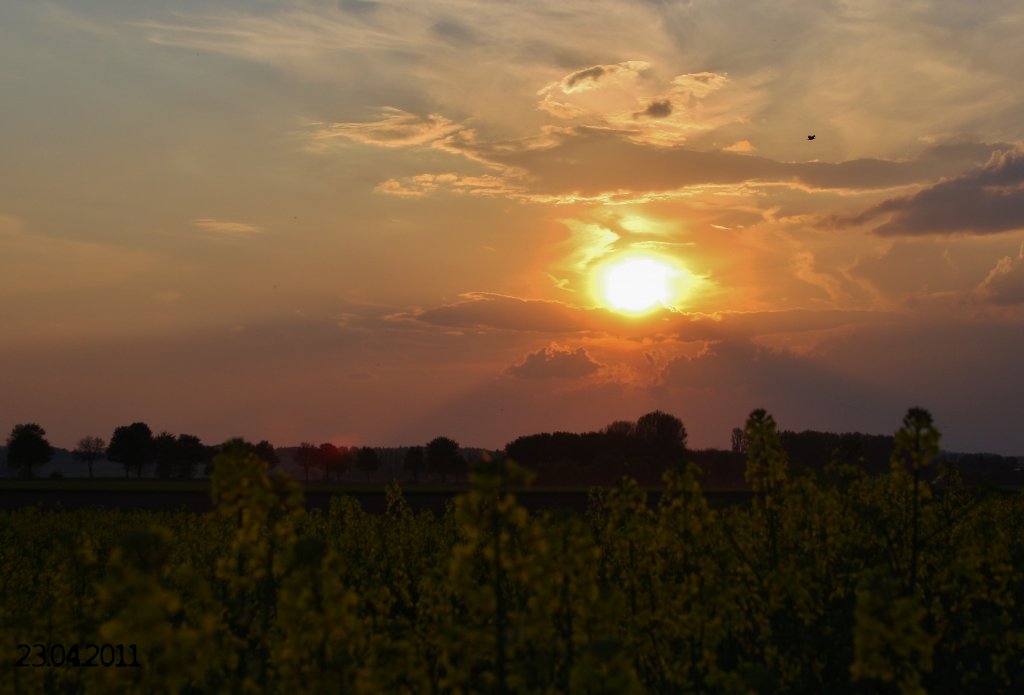 Hier der Sonnenuntergang in Mangolding am 23.04.2011 .