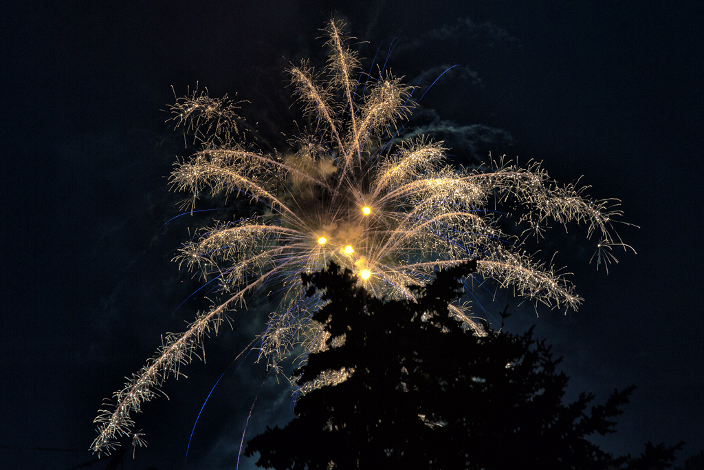 Hhenfeuerwerk zur Torgelower Wirtschaftsmesse am 22.06.2013.