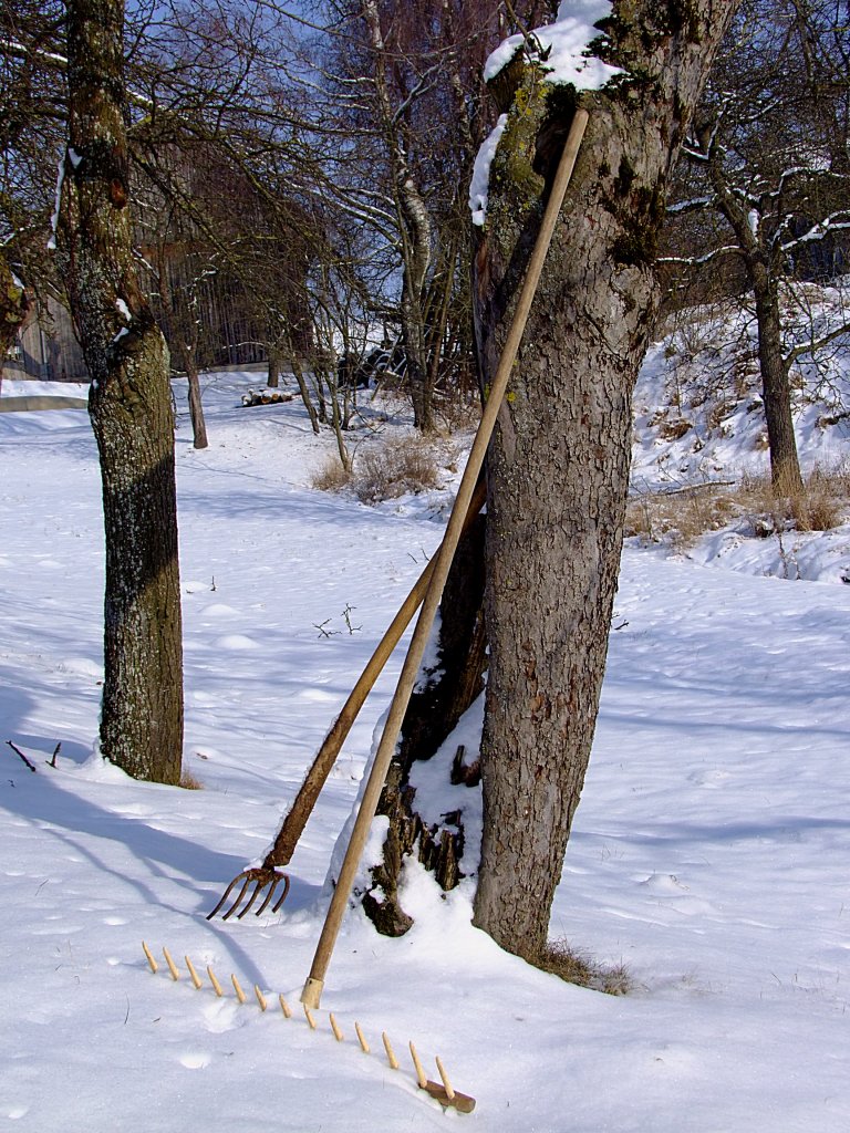 Holzrechen und Mistgabel warten auf die Schneeschmelze; 12021