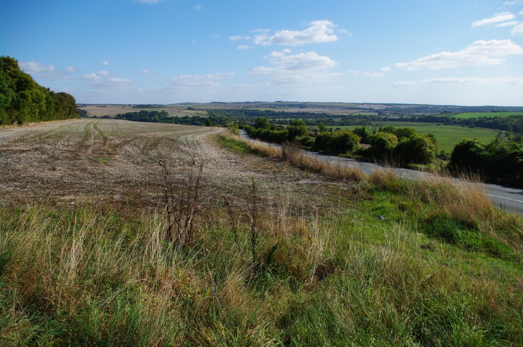 Hounted Hill bei Arundel (02.10.2009)