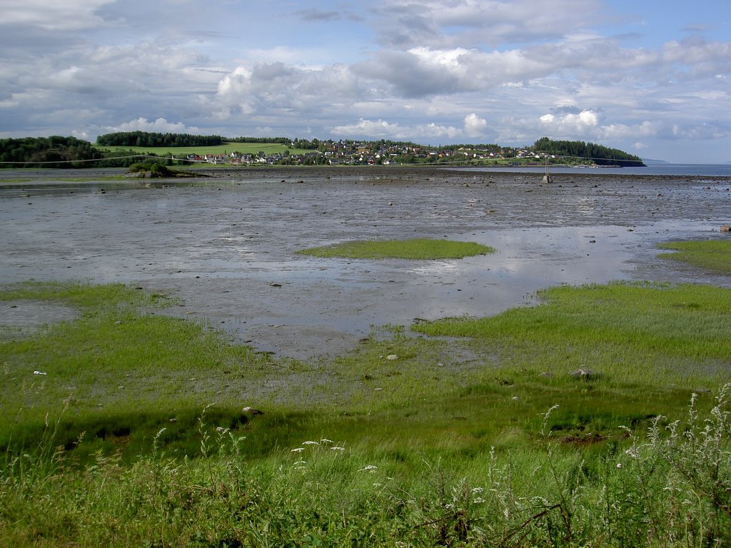 Hyllkuktabucht des Trondheimfjord bei Rora (28.06.2013)