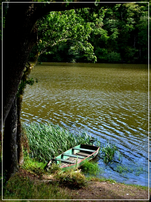 Idyll an der Obersauer zwischen Boulaide und Arsdorf in der Nhe der  Misrsbrck . 14.09.2011 (Jeanny)