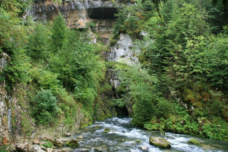 Im Karstgebiet der franzsischen Jura entspringt ein Flu, der sicht atemberaubent seinen Weg durch die Jura suchte. Es ist der Doubs, fr mich einer der schnsten Fle Europas. Auf seinen 453 km Lnge von Mouhte bis Verdun-sur-le-Doubs windet er sich zunchst ostwrts und durchfliet schne Tler, einige Seen und strzt 27 m in die Tiefe. Bei Saint-Ursanne wchselt er seine Richtung und fliet in nordwestlicher Richtung nach Belfort, der grten Stadt an seinen Ufern. Dort wendet er sich in westlich Richtung und mndet dann in die Sane. Source la Doubs am 27.08.2011