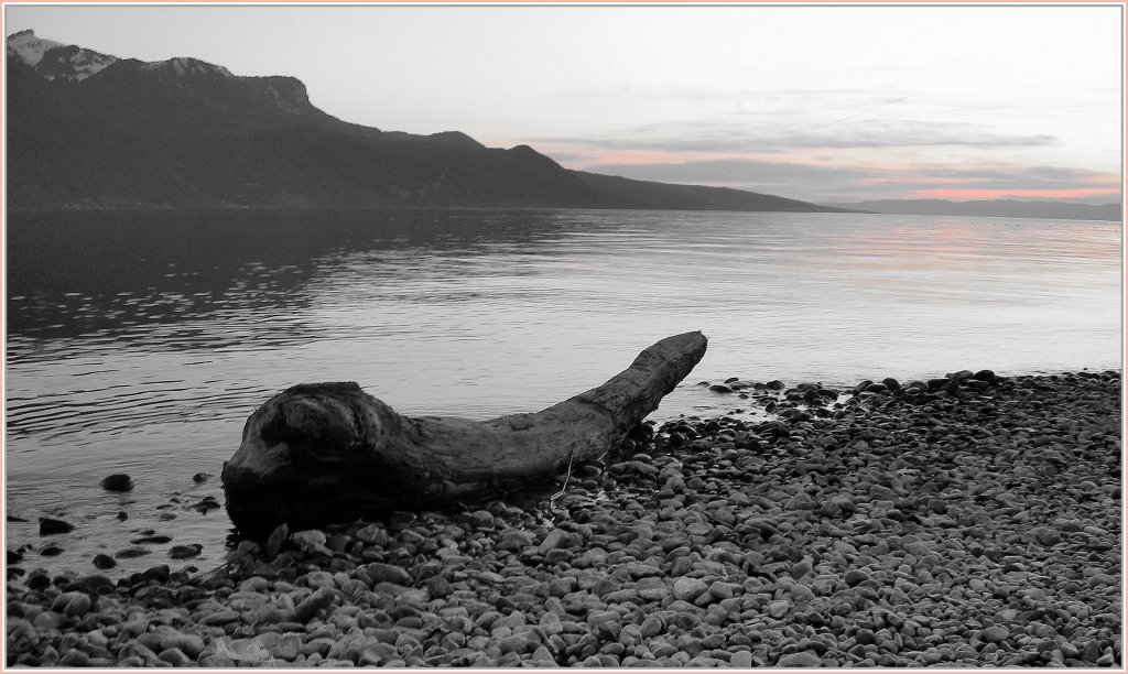 Im letzten Licht noch den letzten zarten Hauch des Sonnenuntergangs erwischt...
Genfersee, bei Vevey, am 2. April 2011