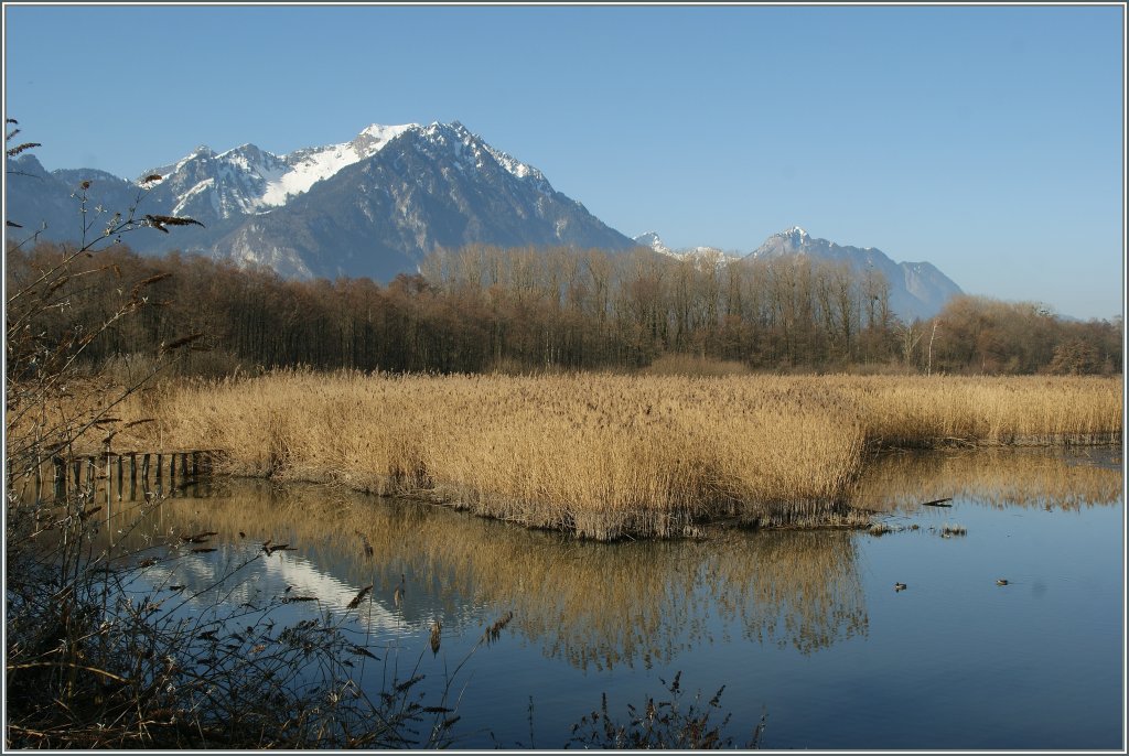 Im Naturschutzgebiet der Grangettes. 
14.03.2012