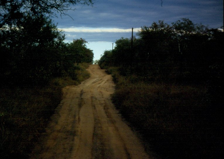 Im Sabi Sabi Private Game Reserve in Sdafrika im Mai 1990