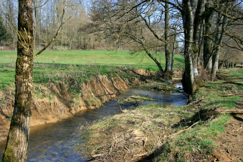 Im Verlauf der ersten 100-200 Km durchfliet die Meuse eine ziemlich flache Landschaft mit lockerem Boden. Dadurch entstehen viele Prall- und Gleithnge, die fr die Flulandschaft typisch sind. Meuse, 25.03.2012