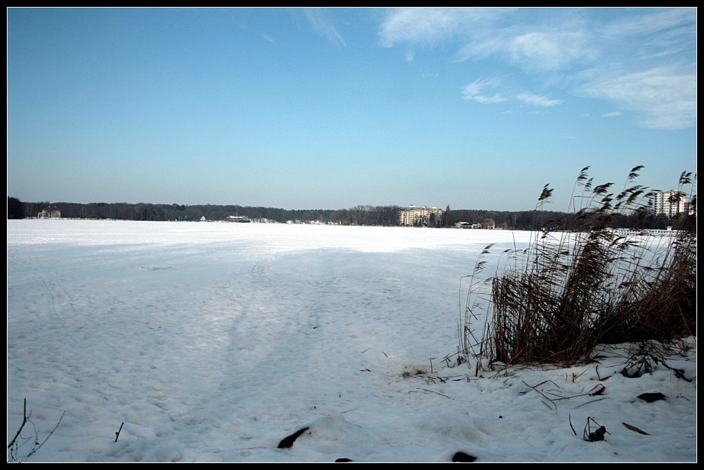 Im Winter verwischt der Schnee die Grenzen. Das Ufer des Tegeler See ist nicht mehr auszumachen, die Bschung geht nahtlos in die Weite des zugefrorenen Sees ber (Berlin Alt-Tegel)