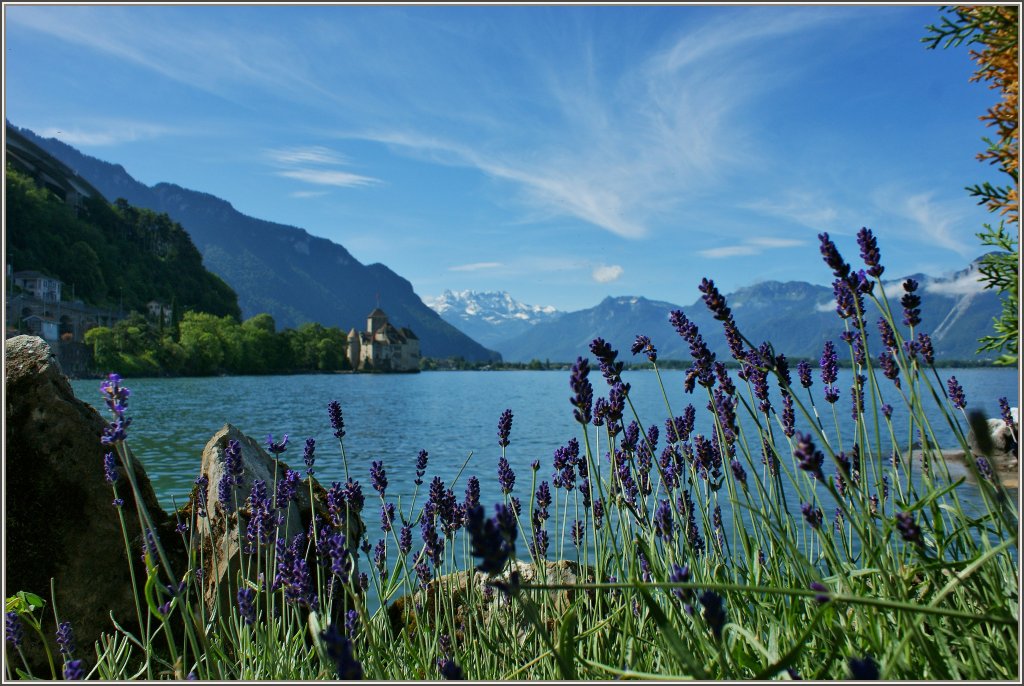 Immer wieder ein Foto wert: Das Chteau de Chillon mit den Dents-de-Midi.
(14.06.2012)