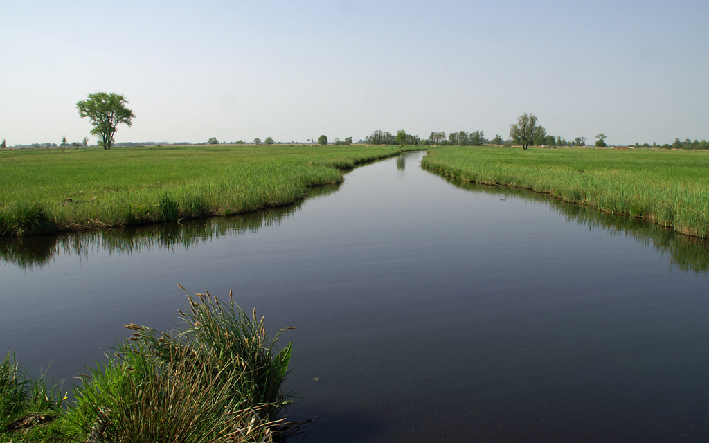 Impression von dem Sumpfgebiet des Nationalparks Weerribben / De Wieden. Das noch junge Rohr bietet einen groartigen Blick auf das flaches Gelnde. Aufgenommen 24.04.2011.