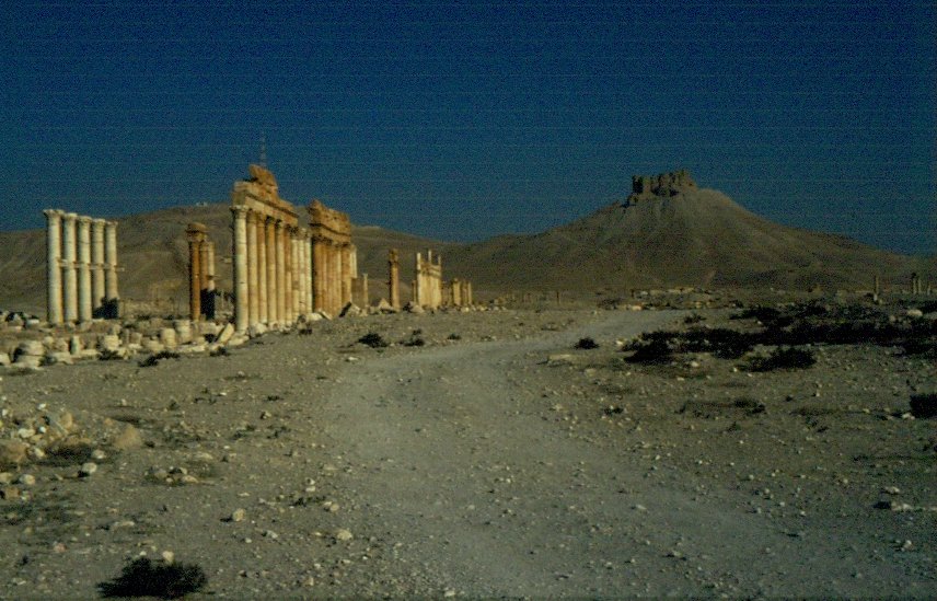 In der antiken Ruinenstadt der Oase Palmyra am frhen Vormittag mit Blick auf die arabische Zitadelle (Mai 1986)
