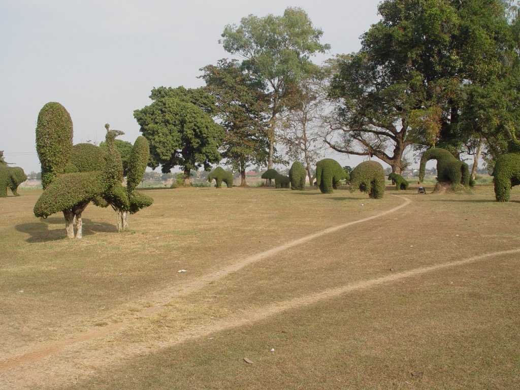 In einem Park in der Nhe von Nong Khai im Norden Thailands sind Bume zu unterschiedlichen Formen und Figuren beschnitten (10.02.2011)