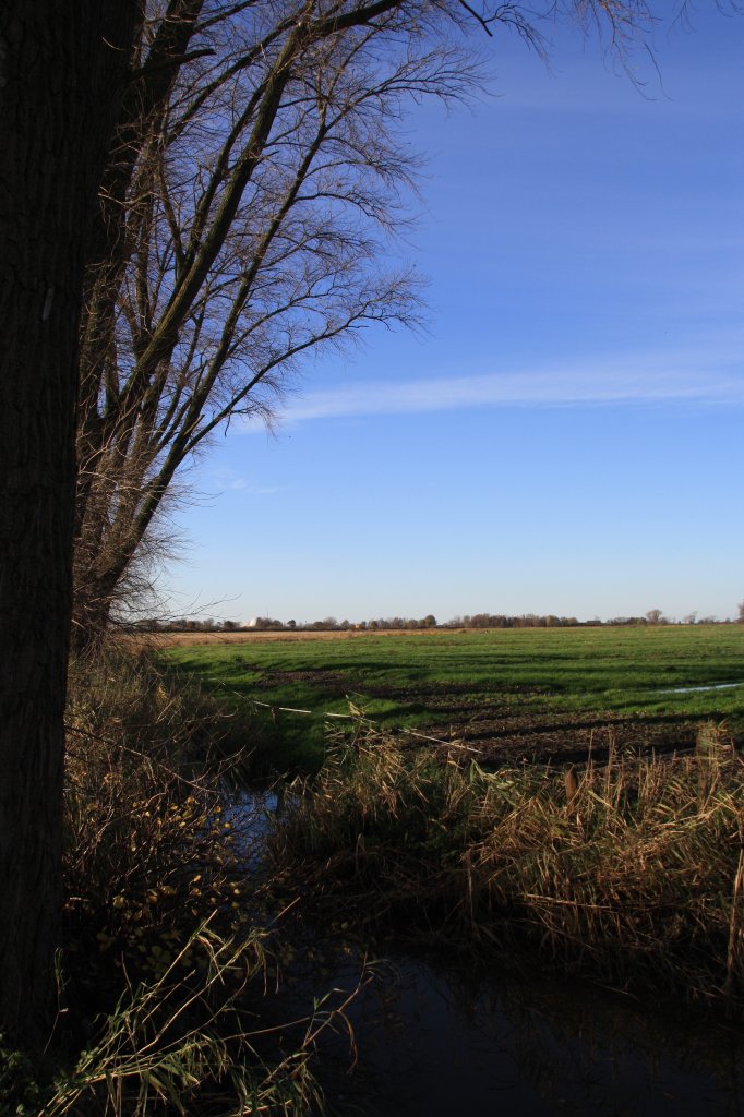 In der Nhe der Apfelgrten in Wewelsfleth am 07.11.2010