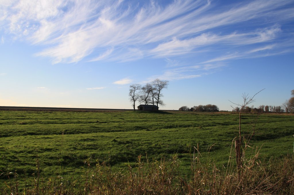 In der Nhe des Strsperrwerks bei Wewelsfleth am 07.11.2010